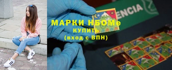 соль ск Вяземский