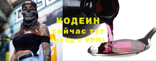 соль ск Вяземский