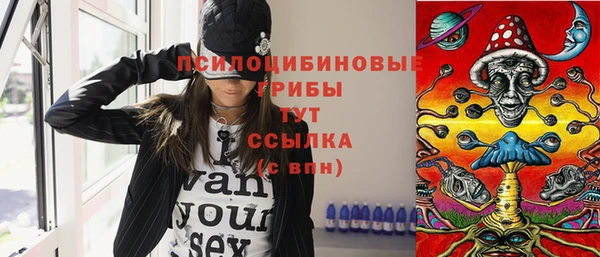 соль ск Вяземский
