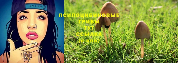 дмт Вязьма