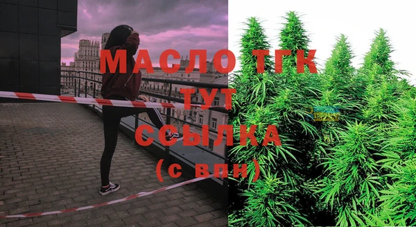 соль ск Вяземский