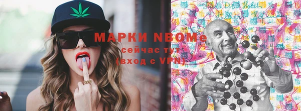 соль ск Вяземский