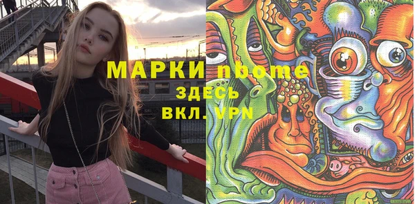 соль ск Вяземский
