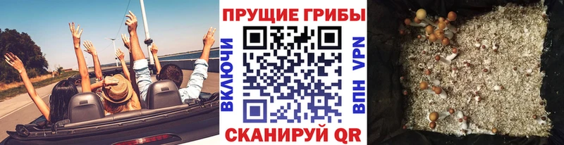 Галлюциногенные грибы MAGIC MUSHROOMS  Купить закладки  Алапаевск 